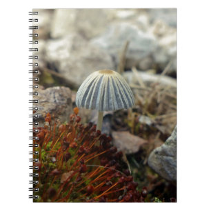 Tiny Toadstool Notizblock