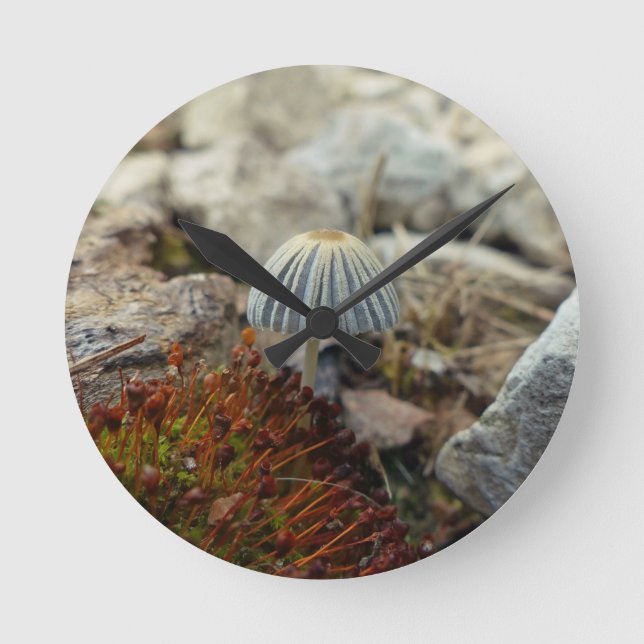 Tiny Toadstool Runde Wanduhr (Vorderseite)