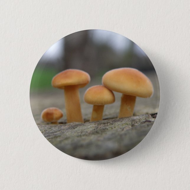 Tiny Toadstools Macro Button (Vorderseite)