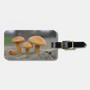 Tiny Toadstools Macro Custom Gepäckanhänger