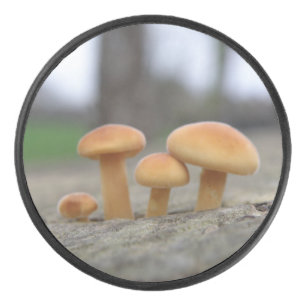 Tiny Toadstools Macro Hockey Puck
