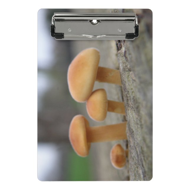 Tiny Toadstools Macro Mini Clipboard Klemmbrett (Vorderseite)