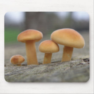 Tiny Toadstools Macro Mousepad