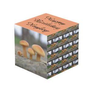 Tiny Toadstools Macro Personalisiert Würfel