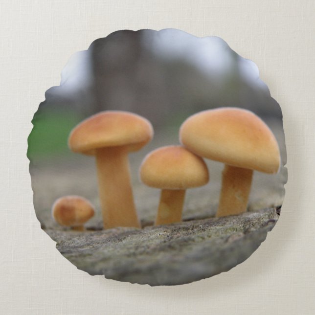 Tiny Toadstools Macro Pillow Rundes Kissen (Vorderseite)