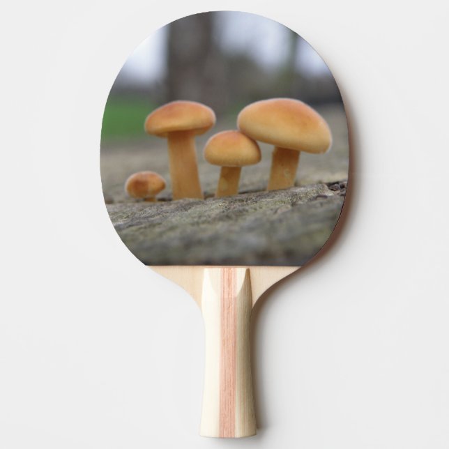 Tiny Toadstools Macro Ping Pong Paddle Tischtennis Schläger (Vorderseite)