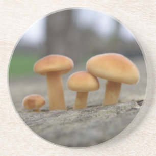 Tiny Toadstools Macro Untersetzer