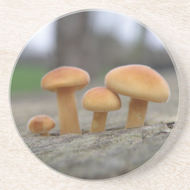Tiny Toadstools Macro Untersetzer (Vorne)