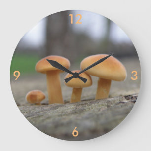Tiny Toadstools Macro Wall Clock Große Wanduhr