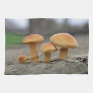Tiny Toadstools Makro Küchentücher