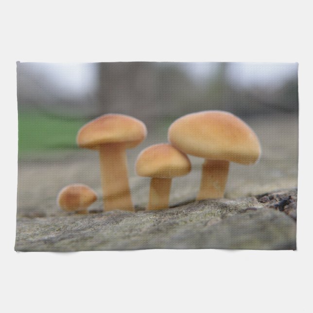 Tiny Toadstools Makro Küchentücher (Horizontal)