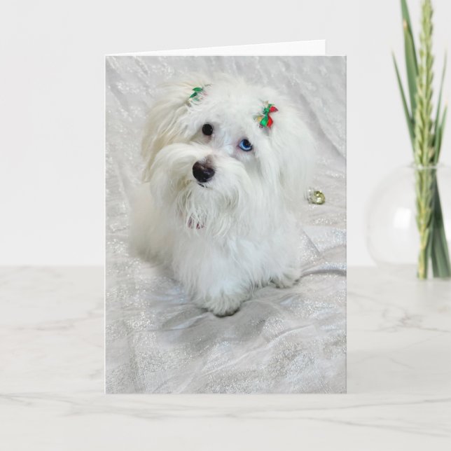 Tiny Treasure Karte (Vorderseite)