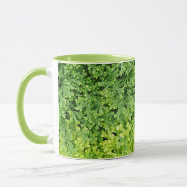 Tiny tropical fern tasse (Links)