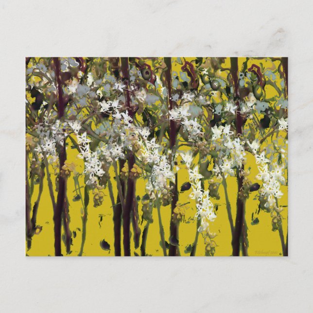 Tiny White Blume Postkarte (Vorderseite)