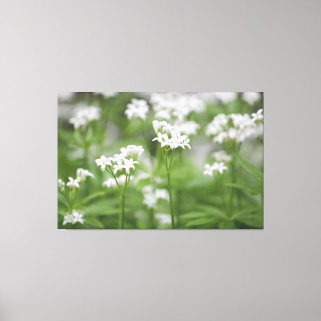 Tiny White Floral Leinwand (Vorderseite)