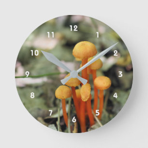 Tiny Wild Orange Mushrooms Nature Runde Wanduhr