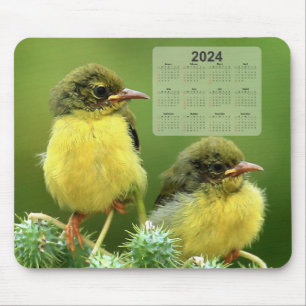 Tiny Yellow Birds on a Green Pflanze 2024 Calendar Mousepad