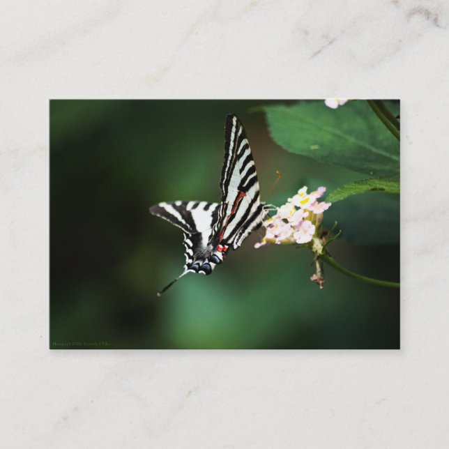 Tiny Zebra Mini Print Visitenkarte (Vorderseite)