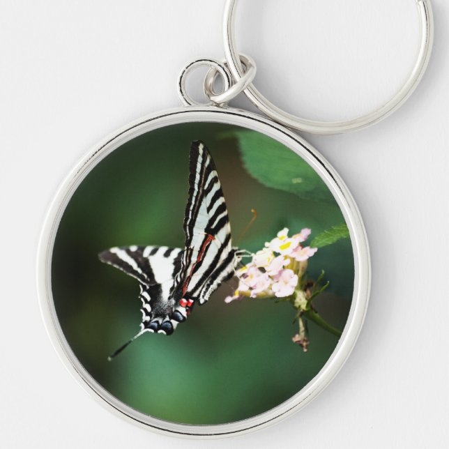 Tiny Zebra Schlüsselanhänger (Vorne)