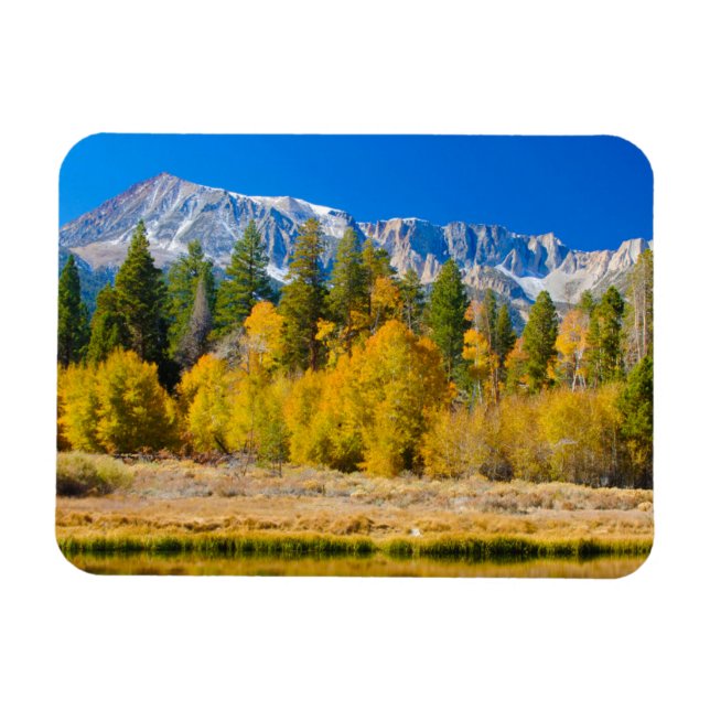 Tioga Pass des Yosemite Nationalparks Magnet (Horizontal)