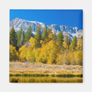 Tioga Pass des Yosemite Nationalparks Magnet