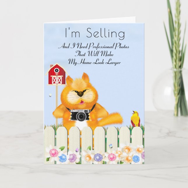 Tipps zu Vogel- und Katzenfotografen | Neue Zuhaus Karte (Vorderseite)