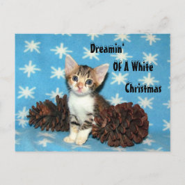 Tippy's Christmas PostCard - Cat / Kitten Feiertagspostkarte