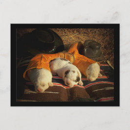Tired Cowboy Welppies Postkarte