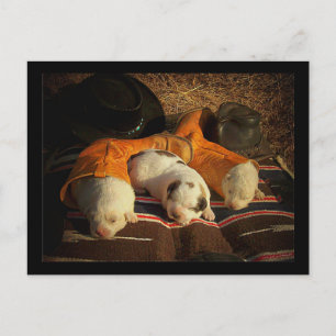 Tired Cowboy Welppies Postkarte