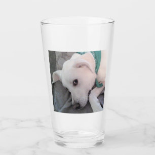 Tired St Patricks Day Hund mit Grün Glas