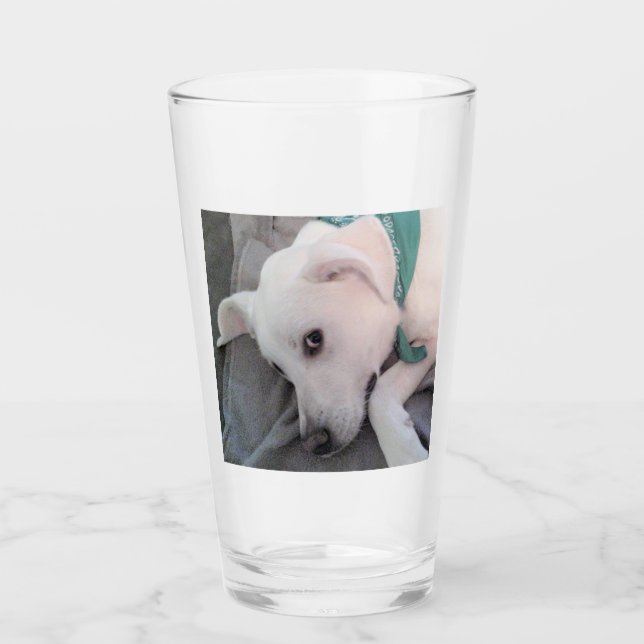 Tired St Patricks Day Hund mit Grün Glas (Vorderseite)