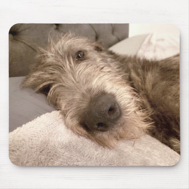 Tired young Irish Wolfhound Mousepad (Vorne)