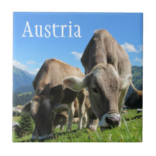 Tiroler Kühe Weideland am Alpenhang, Österreich Fliese