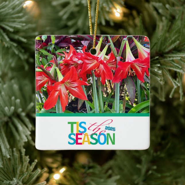 Tis the Season 'Amaryllis' Ornament (Baum)