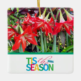 Tis the Season 'Amaryllis' Ornament