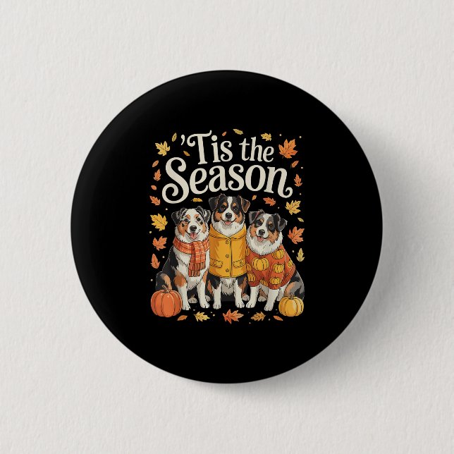 Tis The Season Australian Shepherd Fall Autumn Pum Button (Vorderseite)