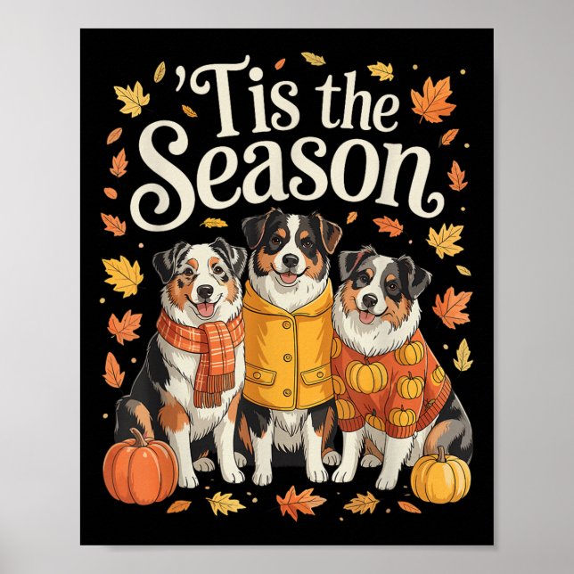Tis The Season Australian Shepherd Fall Autumn Pum Poster (Vorne)