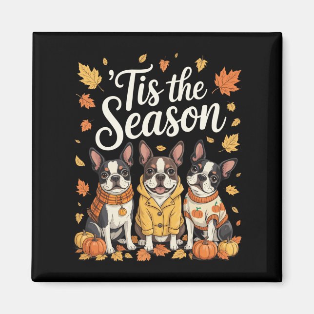 Tis The Season Boston Terrier Fall Autumn Pumpkin  Magnet (Vorne)