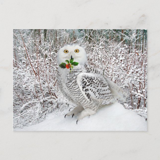 "T'is The Season" Postkarte (Vorderseite)