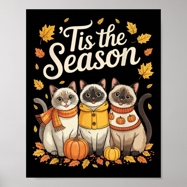 Tis The Season Siamese Cat Fall Autumn Pumpkin  Poster (Vorne)
