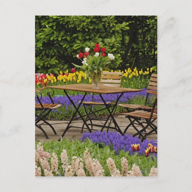 Tischdecken im Garten, Keukenhof Gardens, Postkarte (Vorderseite)