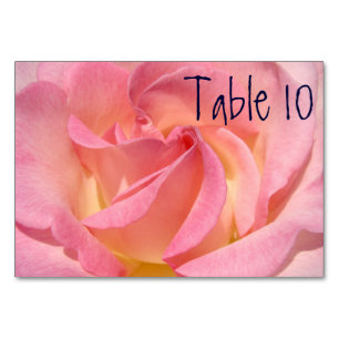 Tischkarten Rosa Rosenblüten Hochzeiten Veranstalt Tischnummer