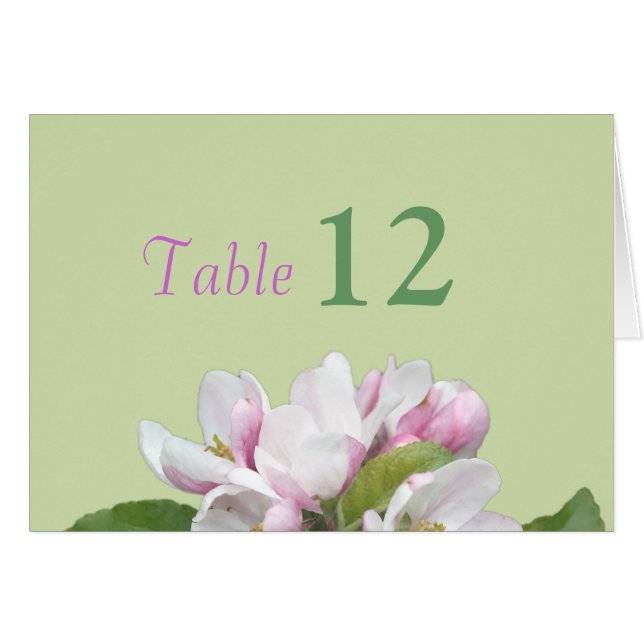 Tischnummer (Vorderseite (Horizontal))