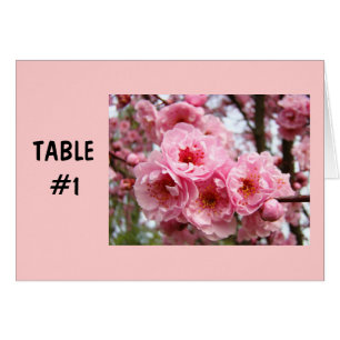 Tischnummer Karten Rosa Blüten Frühlingsblüten Par