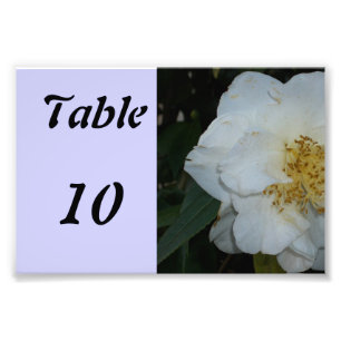 Tischnummern-Blume Fotodruck