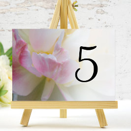 Tischnummern der Blume Rosa und Weiße Tulip