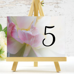 Tischnummern der Blume Rosa und Weiße Tulip