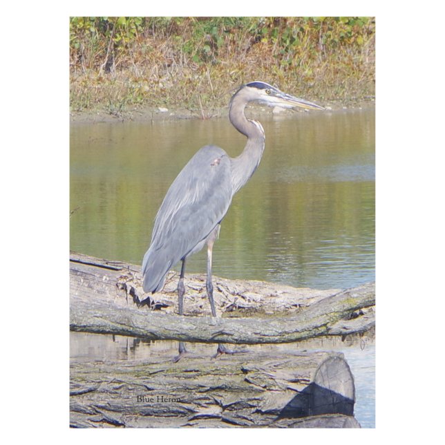 Tischtuch von Blue Heron Tischdecke (Vorderseite)