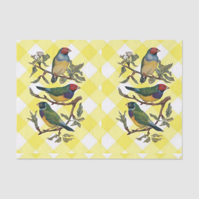 Tissue Bird Yellow Kariert Seidenpapier (Vorderseite)