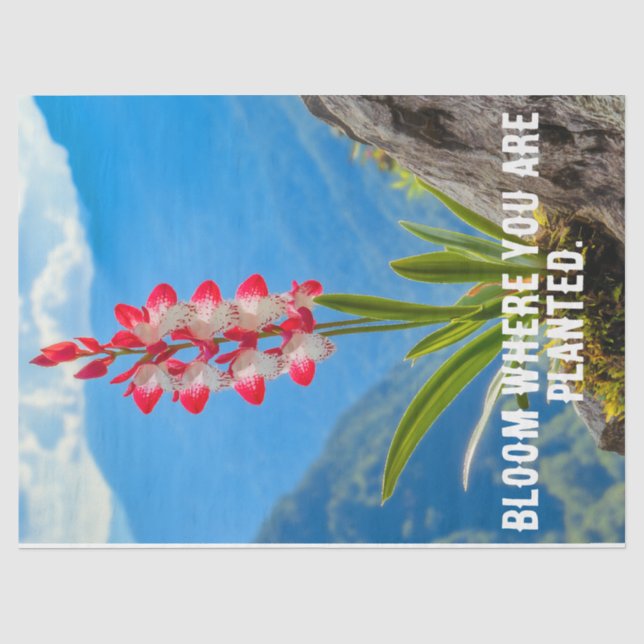 Tissue/Decoupage der orchid-Blume Seidenpapier (Vorderseite)